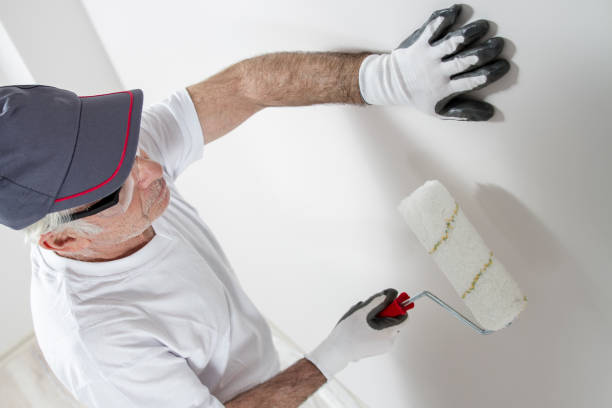 Best Water-Damaged Drywall Repair  in Ixonia, WI